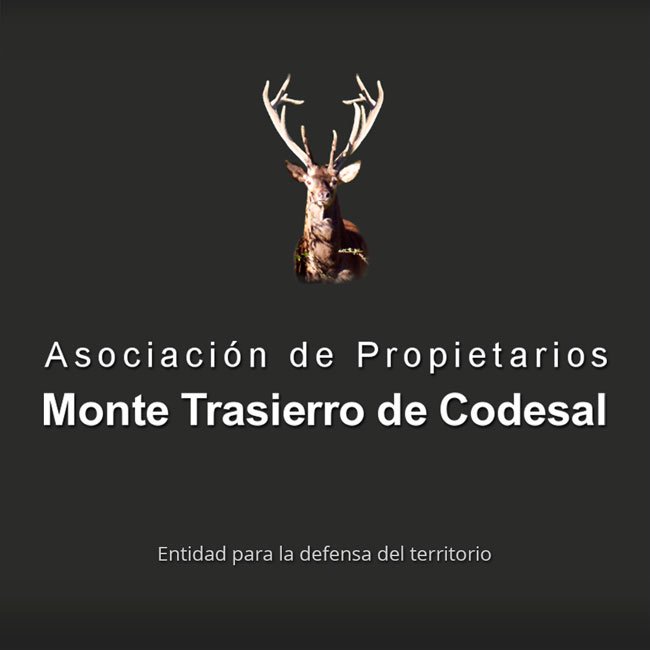 APP Monte Trasierro Codesal
